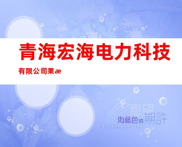 青海宏海电力科技有限公司果洛分公司